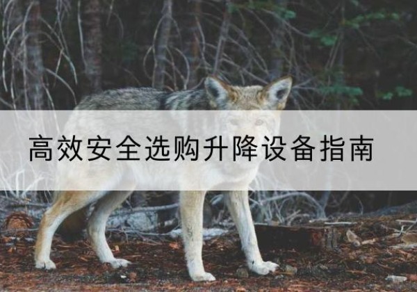 历城升降货梯厂家推荐-*安全选购升降设备指南