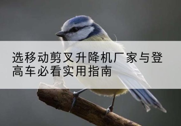 历城电动升降机厂家-选移动剪叉升降机厂家与登高车必看实用指南